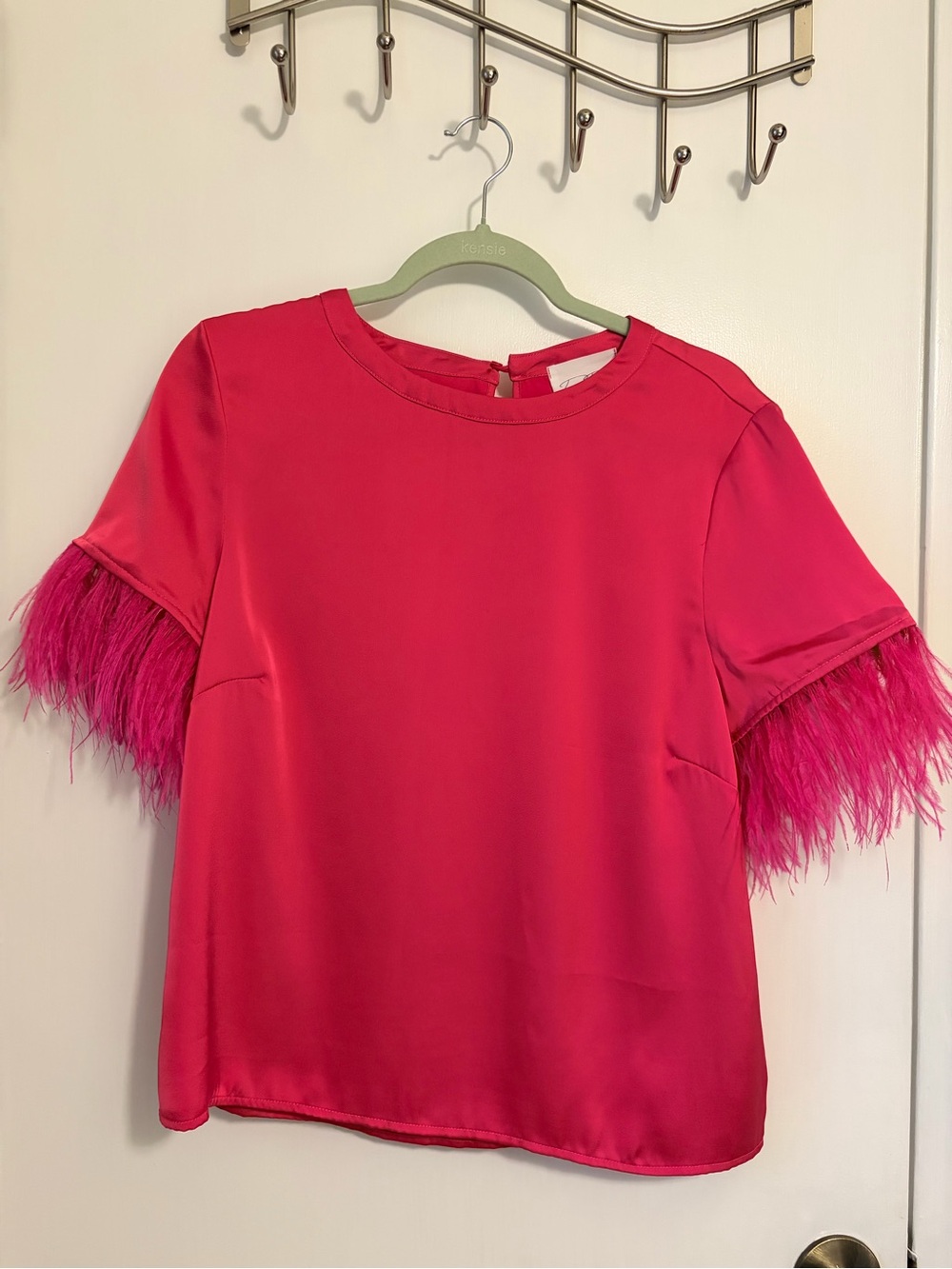 Bright Pink Feather-Trim Short Sleeve Blouse